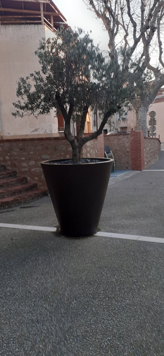 V&eacute;g&eacute;talisation du c&oelig;ur de village &mdash; bacs et plantations